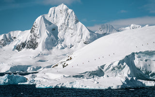 Antarctica: Through the Lens