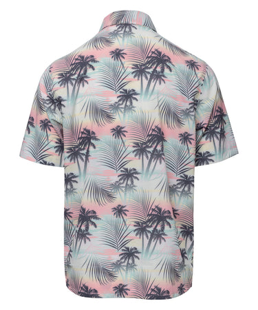 #color_tropical-dreams