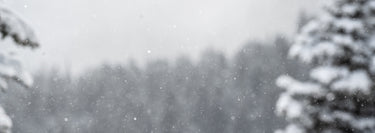 snow falling with blurry trees in the background