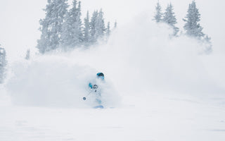 ws ski action powder face shot