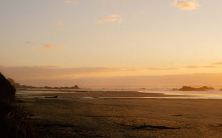 Bikepack to the Oregon Coast