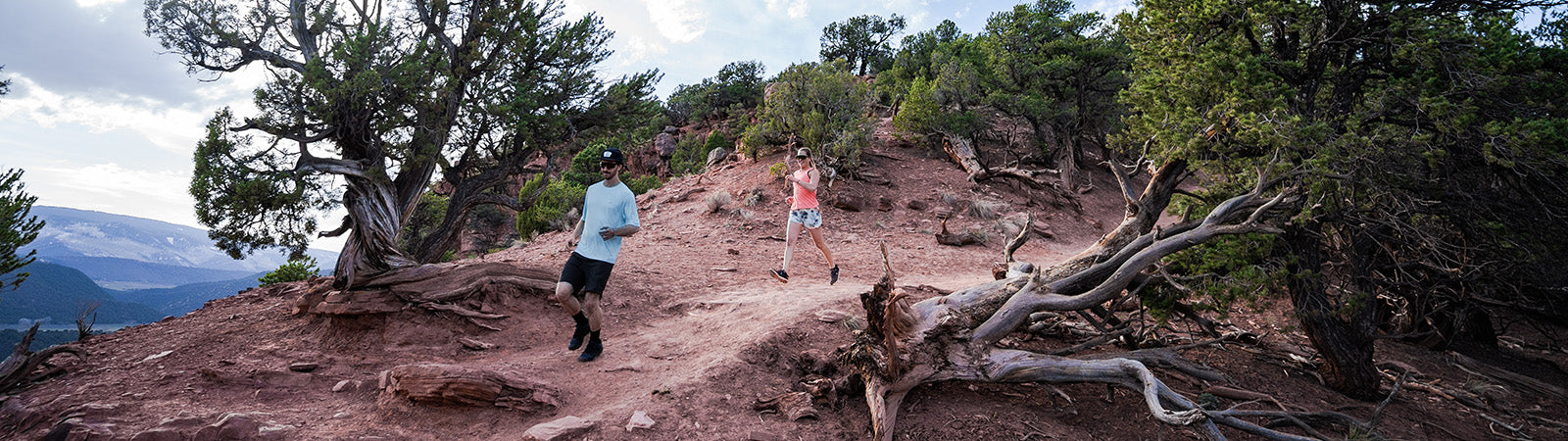 Trail