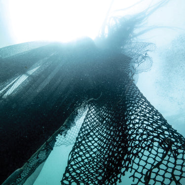 netplus fishing nets