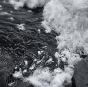 allied feather and down in water