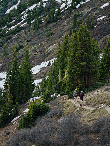 two trail runners action mountain scenic