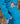 #color_dark-teal